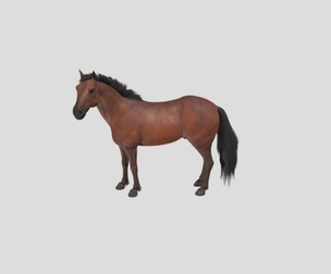Horse