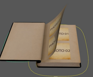 Book Rigged
