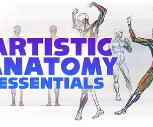 Artistic Anatomy Essentials