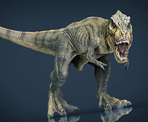 Tyrannosaurus Rex
