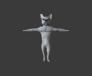HBUL-002 Rigged Dog