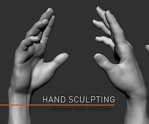 ZBrush Anatomy Sculpting: Hands