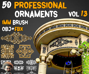 50 Professional Ornaments Brushes – Vol 13