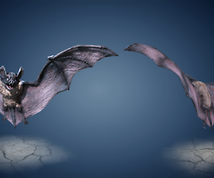 Vampire Dark Bat