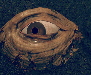 Horror Wall with Growing Arms