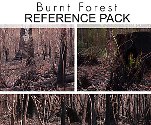 Free Ref Pack - Burnt Forest