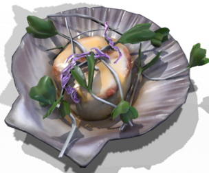 ScallopCitrusSprouts