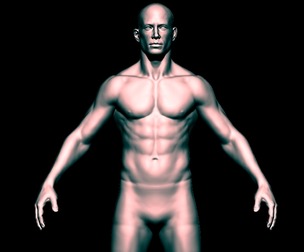 ANATOMY