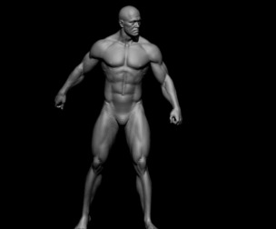 anatomy worriers