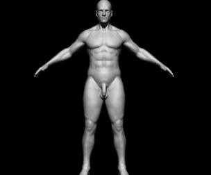 ANATOMY HUMNA