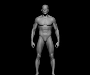 HUMAN ANATOMY