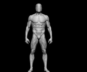 ANATOMY