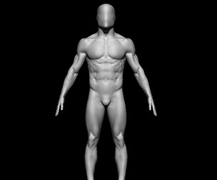 HUMAN ANATOMY