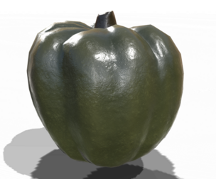 Squash Acorn