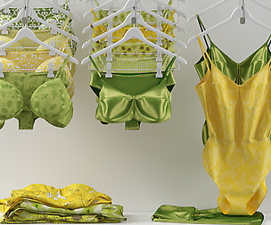 lingerie and commercial equipment