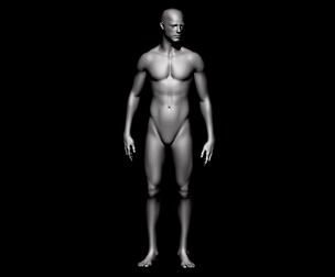 base mesh