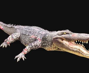 Low Poly Alligator - Ready for Games-22 Animations