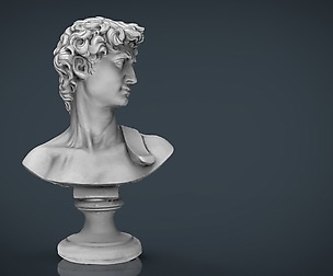 David Bust