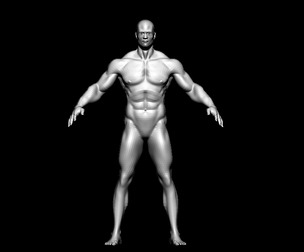 base mesh