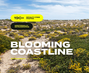 EP39 / Blooming Coastline — photo reference pack