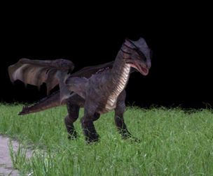 WYVERN DRAGON