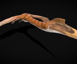 Quetzalcoatlus