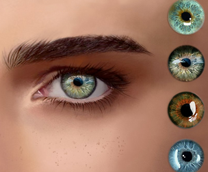Eyes Swatches
