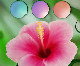 Spring Swatches & Brushes for Photoshop