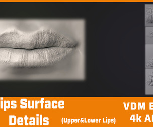 25 Surface Details (Alpha) For Lips