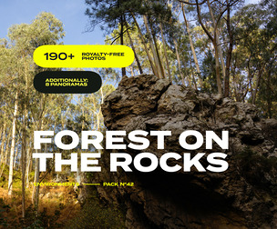 EP42 / Forest on the Rocks — photo reference pack