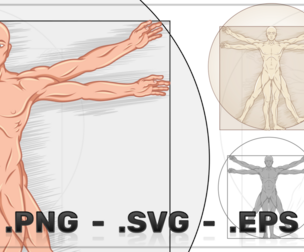 Vector Design Vitruvian Man Human Proportions