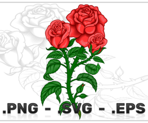 Vector design of a rose bouquet