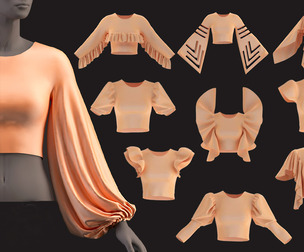 53 Sleeves model