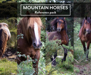 Reference pack: Mountain horses