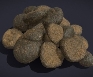 Horse Poop