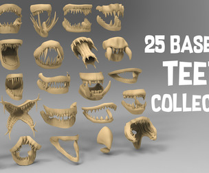 25 basemesh teeth collection