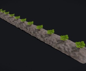 Farmers Crop Row Lettuce