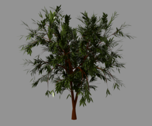 Tree plant