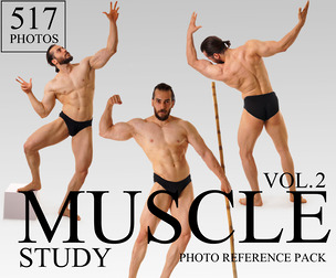 Muscle Study Reference Pack VOL.2