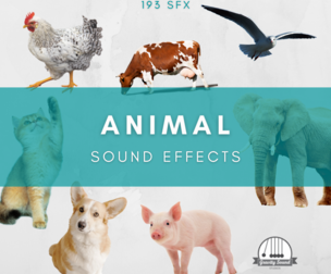 Animal Sound Effects