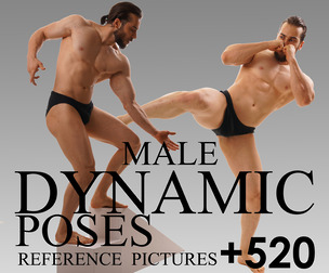 520+ Dynamic Poses Reference Picture