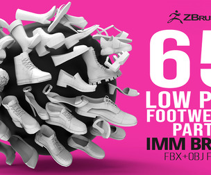 65 Low poly shoe footwear base mesh IMM set