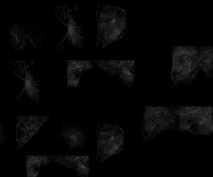 Spider Webs