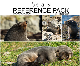 Ref Pack - Seals