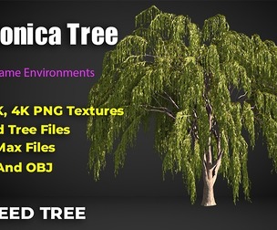 Babylonica Tree(3D Model)