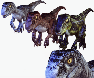 VELOCIRAPTORS JURASSIC pack animated