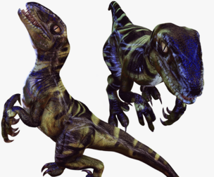 VELOCIRAPTOR