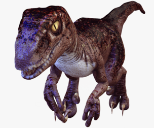 RAPTOR