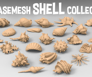 25 basemesh shell collection