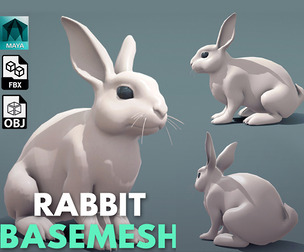 Rabbit